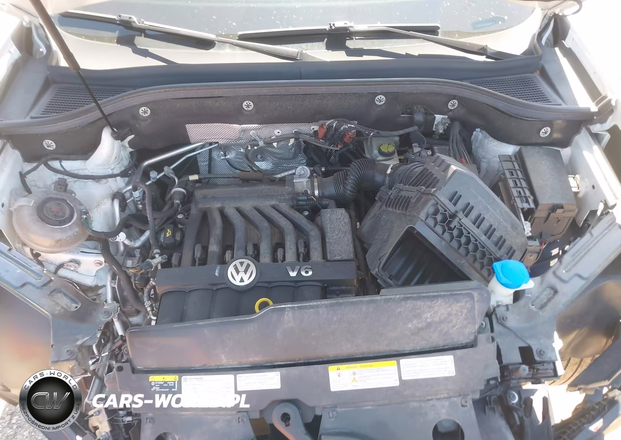 2021 Volkswagen Atlas 3.6L V6 Sel VIN:1V2BR2CA0MC589052 - 10