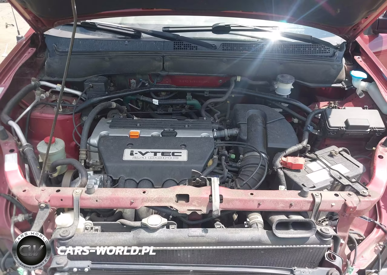 2004 Honda Cr-V Lx VIN:SHSRD78484U244894 - 10