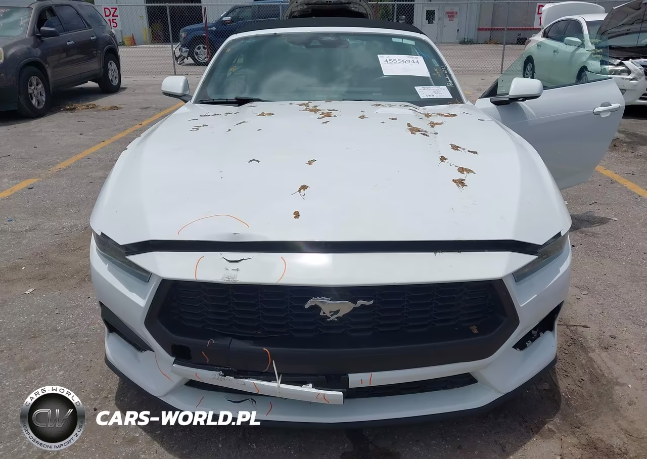 2025 Ford Mustang Ecoboost -Ecoboost Premium VIN:1FAGP8UH7S5127347 - 12