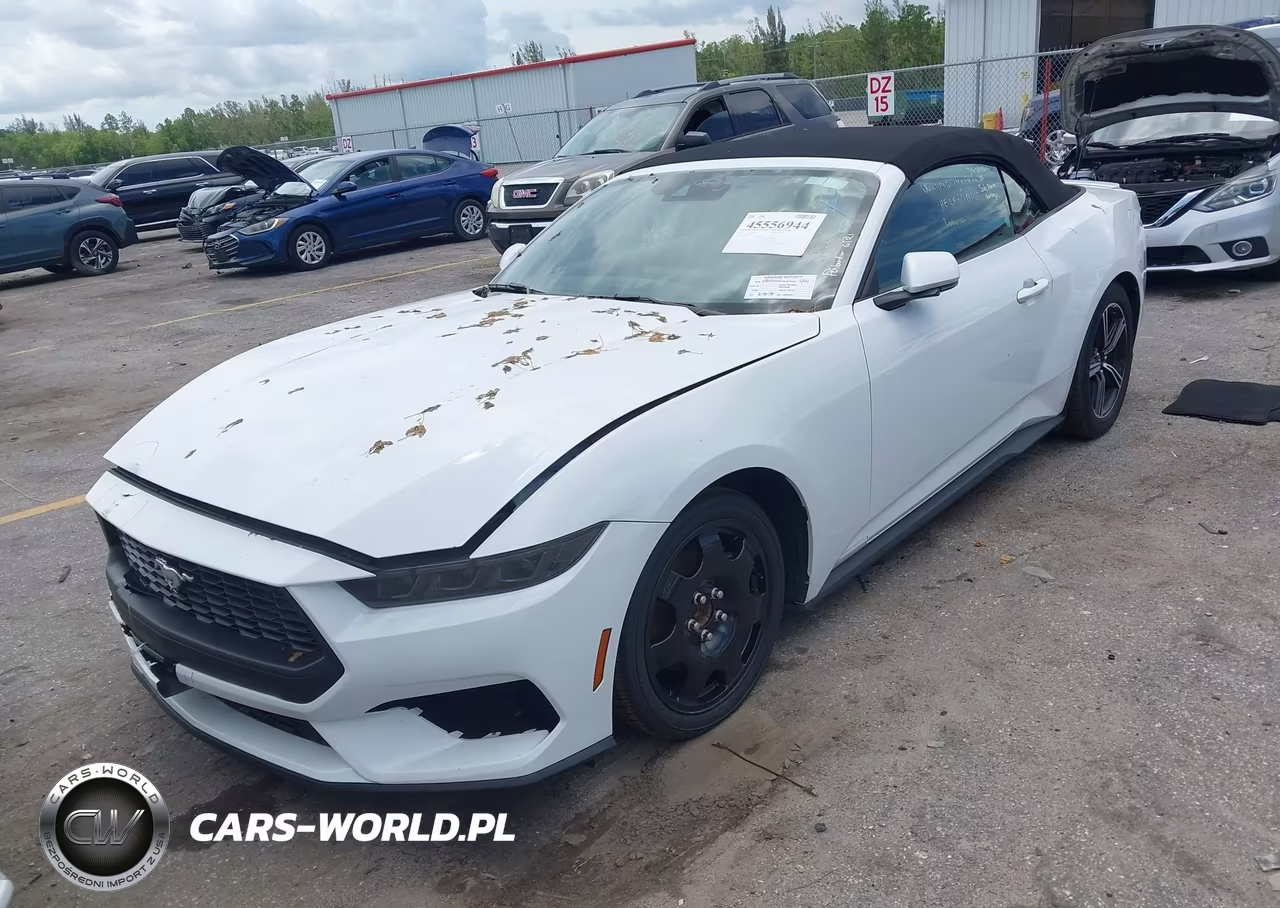 2025 Ford Mustang Ecoboost -Ecoboost Premium VIN:1FAGP8UH7S5127347 - 18
