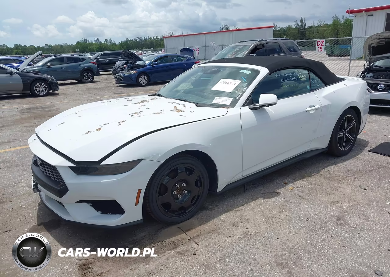 2025 Ford Mustang Ecoboost -Ecoboost Premium VIN:1FAGP8UH7S5127347 - 2