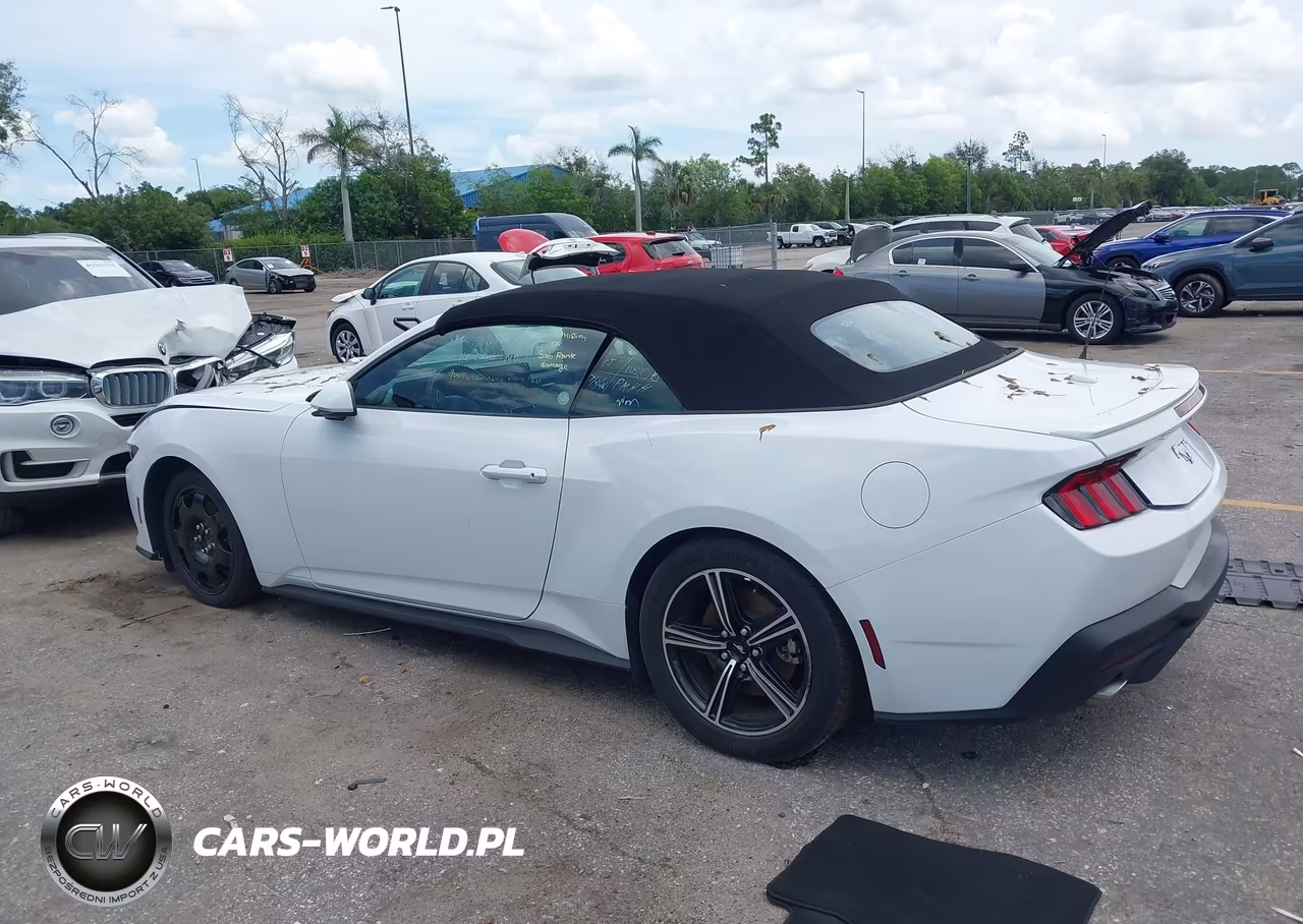 2025 Ford Mustang Ecoboost -Ecoboost Premium VIN:1FAGP8UH7S5127347 - 3