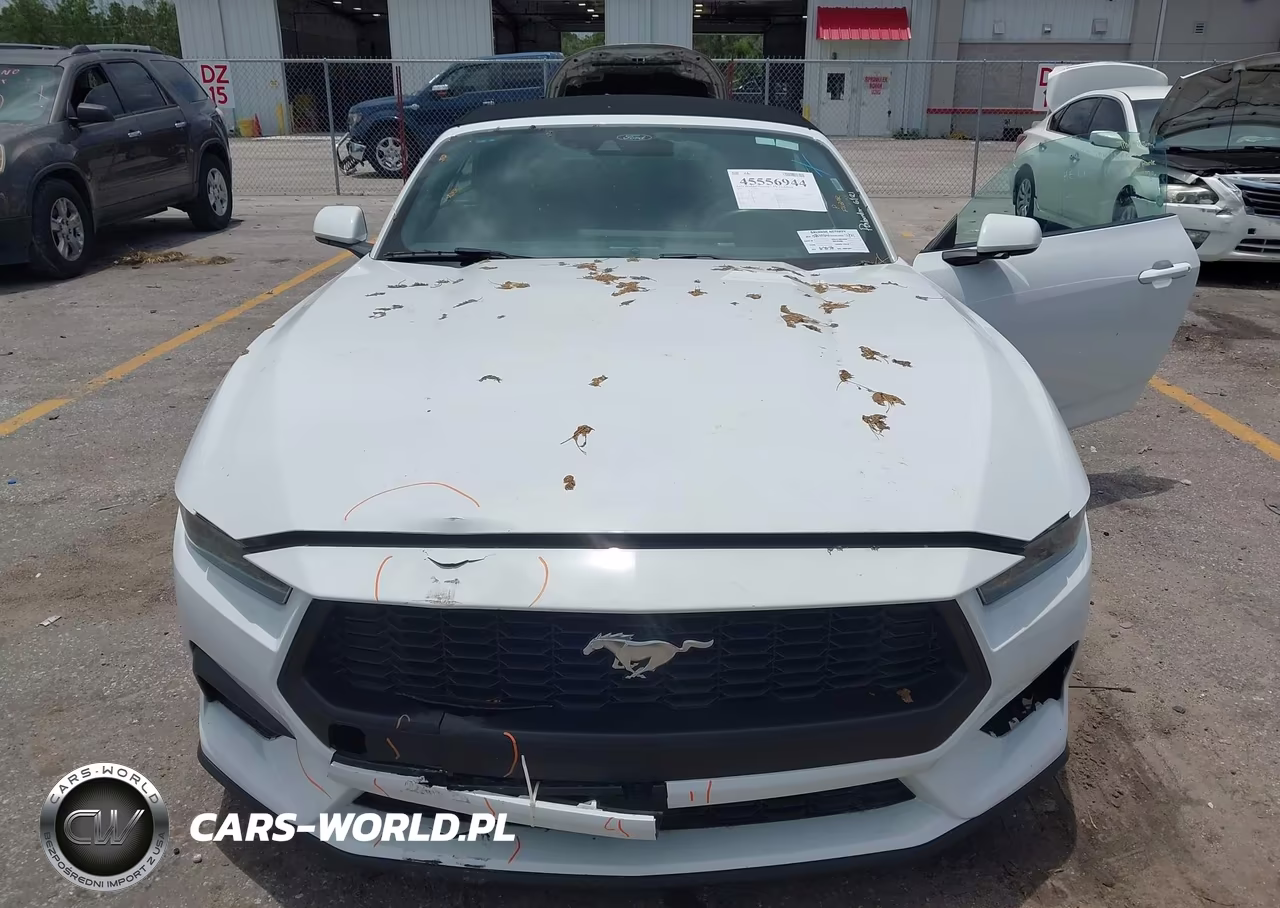 2025 Ford Mustang Ecoboost -Ecoboost Premium VIN:1FAGP8UH7S5127347 - 6