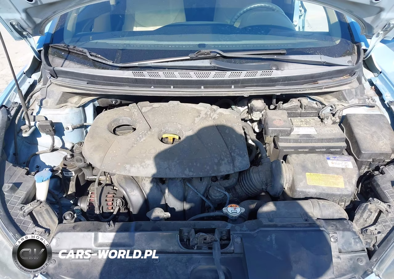 2013 Hyundai Elantra Gls VIN:KMHDH4AE0DU689723 - 10