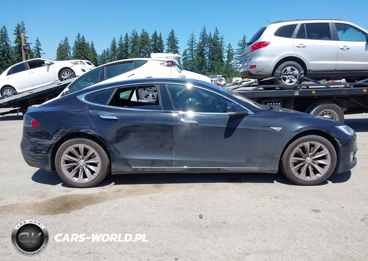 2016 Tesla Model S 60D-70D-75D-85D-90D VIN:5YJSA1E25GF143303 - 13