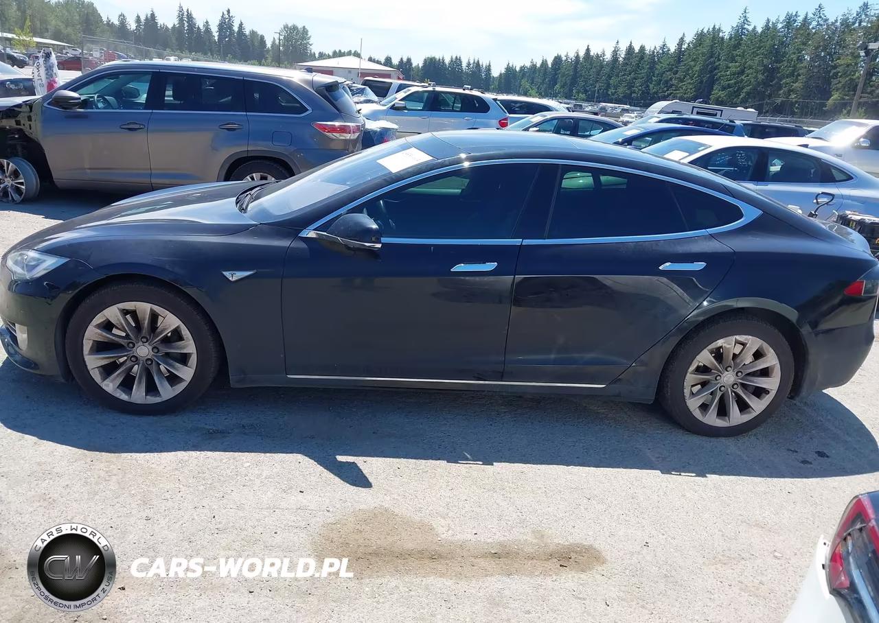 2016 Tesla Model S 60D-70D-75D-85D-90D VIN:5YJSA1E25GF143303 - 14