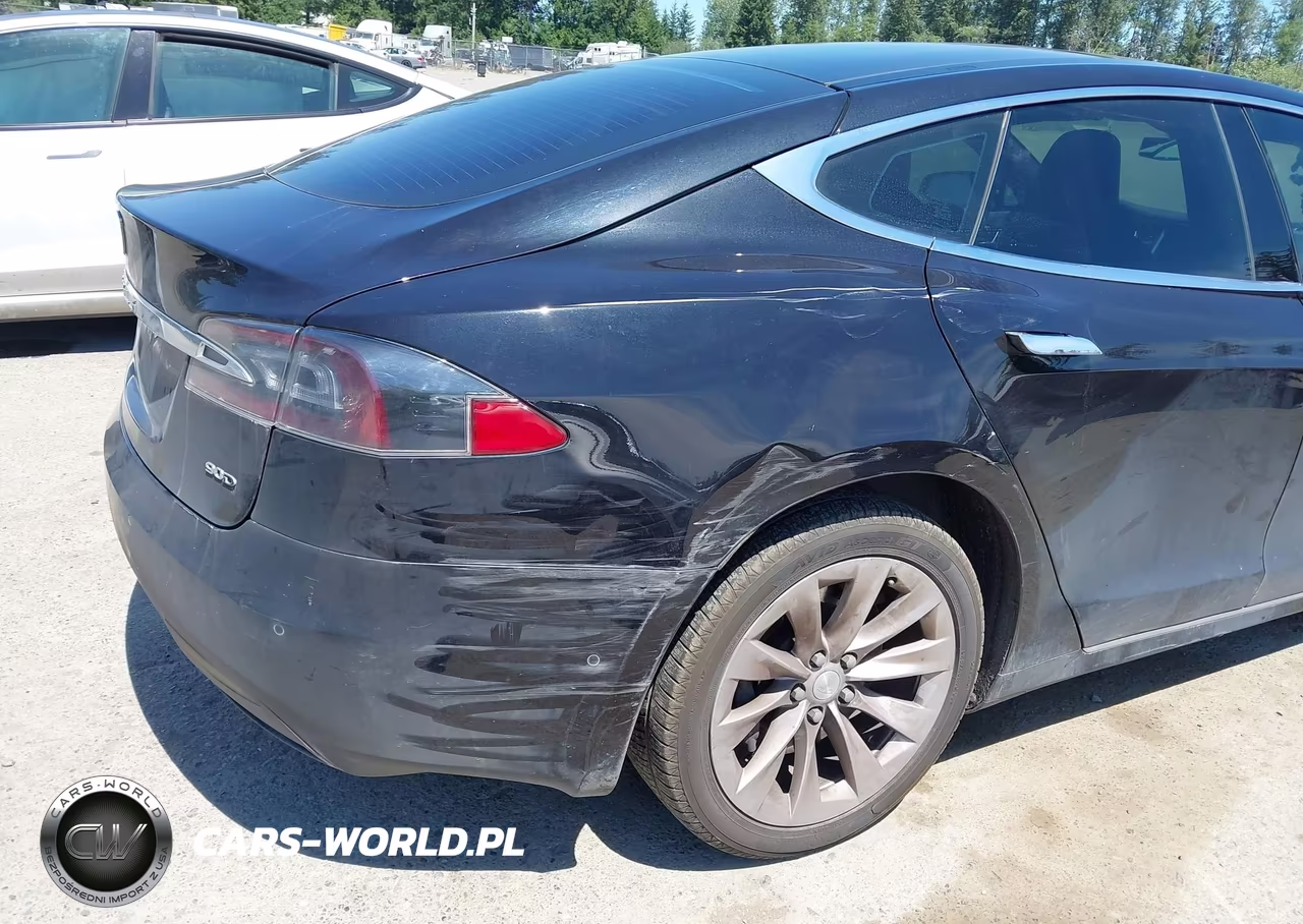 2016 Tesla Model S 60D-70D-75D-85D-90D VIN:5YJSA1E25GF143303 - 19