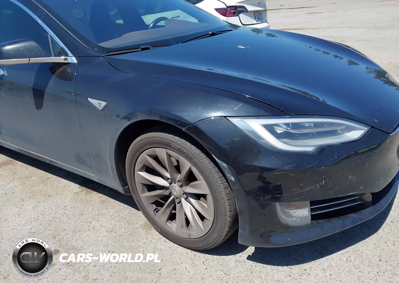 2016 Tesla Model S 60D-70D-75D-85D-90D VIN:5YJSA1E25GF143303 - 21