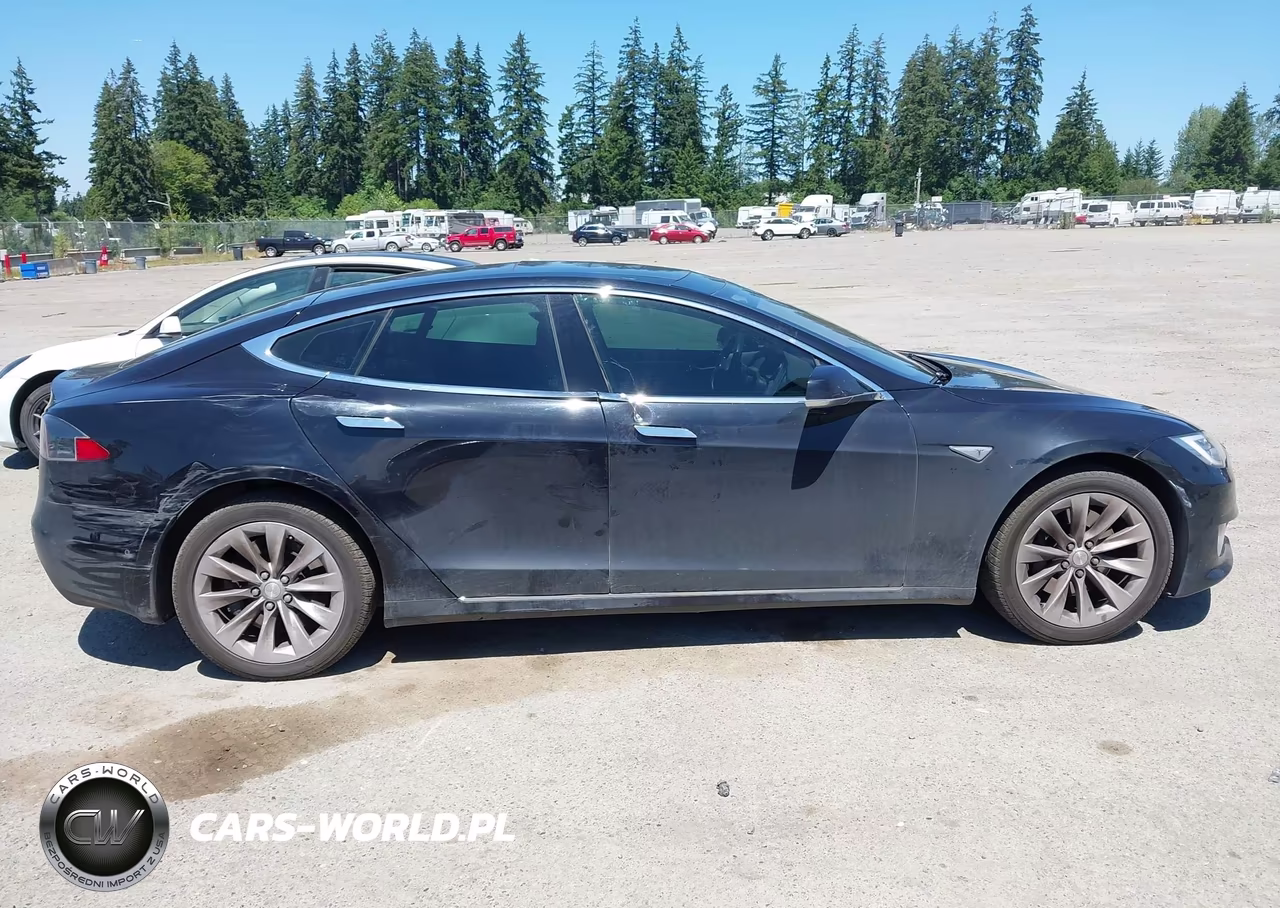 2016 Tesla Model S 60D-70D-75D-85D-90D VIN:5YJSA1E25GF143303 - 6
