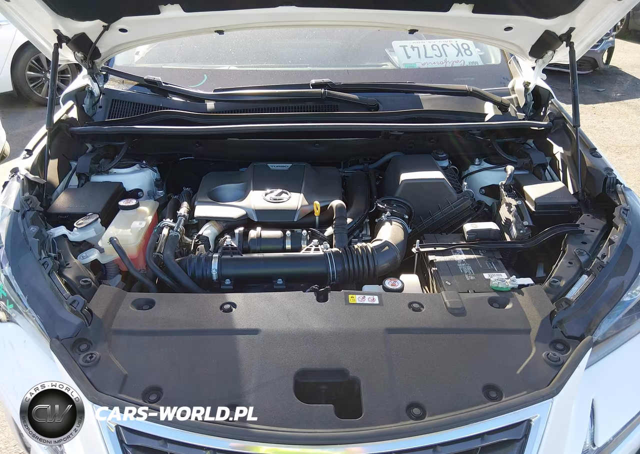 2019 Lexus Nx 300 VIN:JTJYARBZXK2151187 - 10