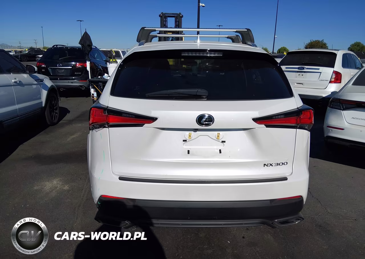 2019 Lexus Nx 300 VIN:JTJYARBZXK2151187 - 16