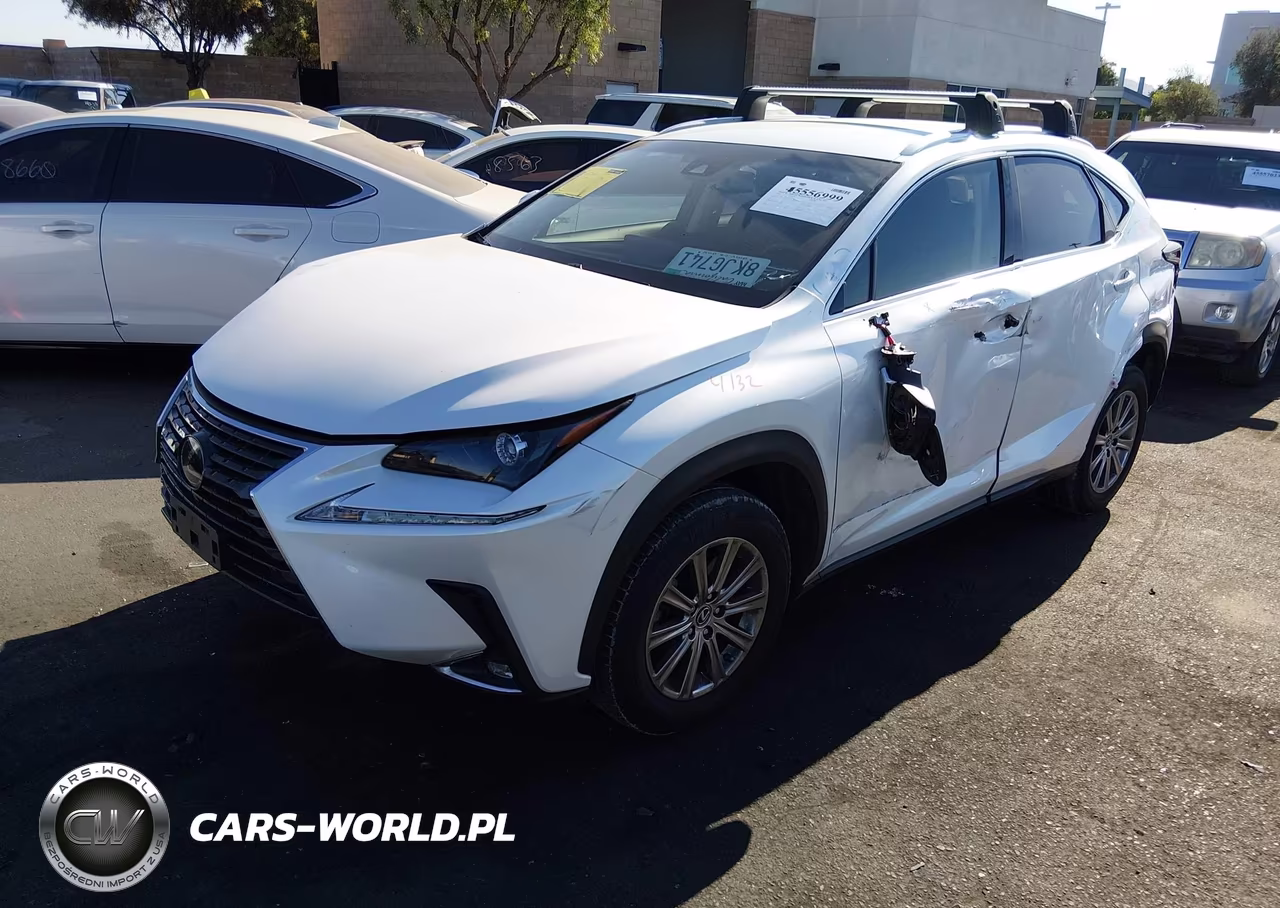 2019 Lexus Nx 300 VIN:JTJYARBZXK2151187 - 2