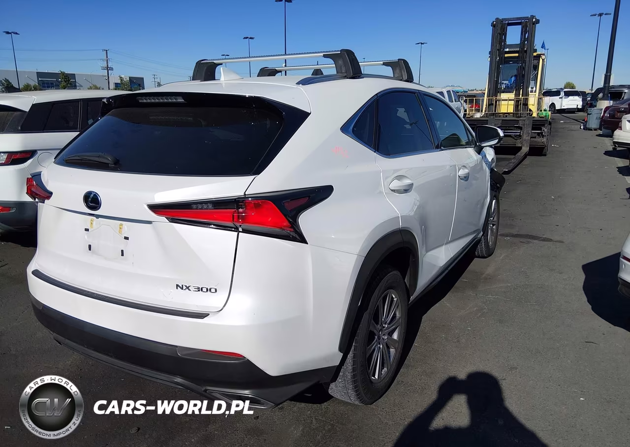 2019 Lexus Nx 300 VIN:JTJYARBZXK2151187 - 4