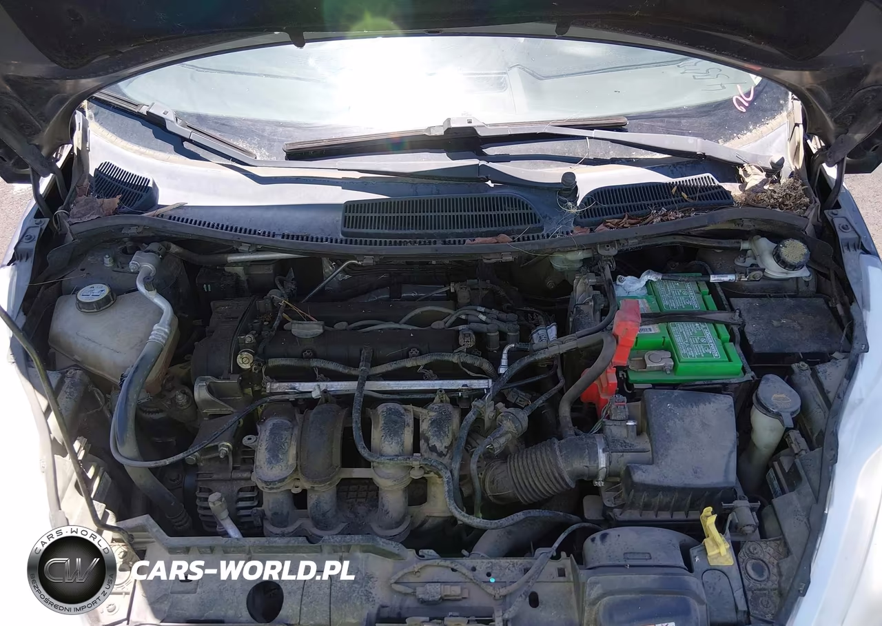 2013 Ford Fiesta Se VIN:3FADP4BJ5DM195158 - 10