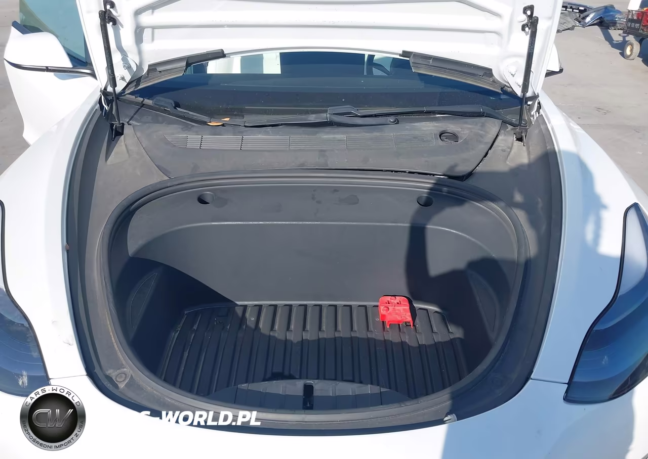 2021 Tesla Model 3 Standard Range Plus Rear-Wheel Drive VIN:5YJ3E1EA2MF917325 - 19