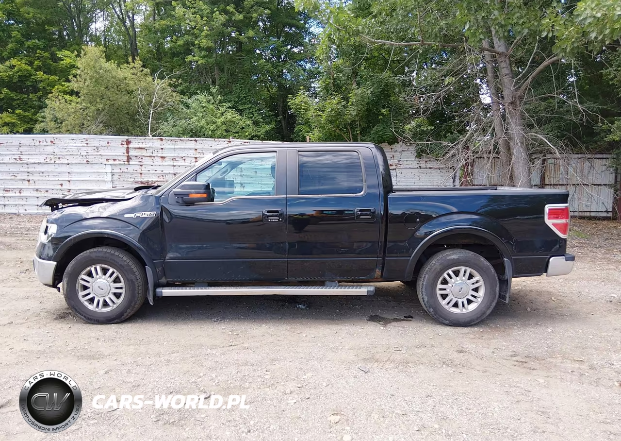 2011 Ford F-150 Fx4-King Ranch-Lariat-Platinum-Xl-Xlt VIN:1FTFW1EF6BFC74332 - 15
