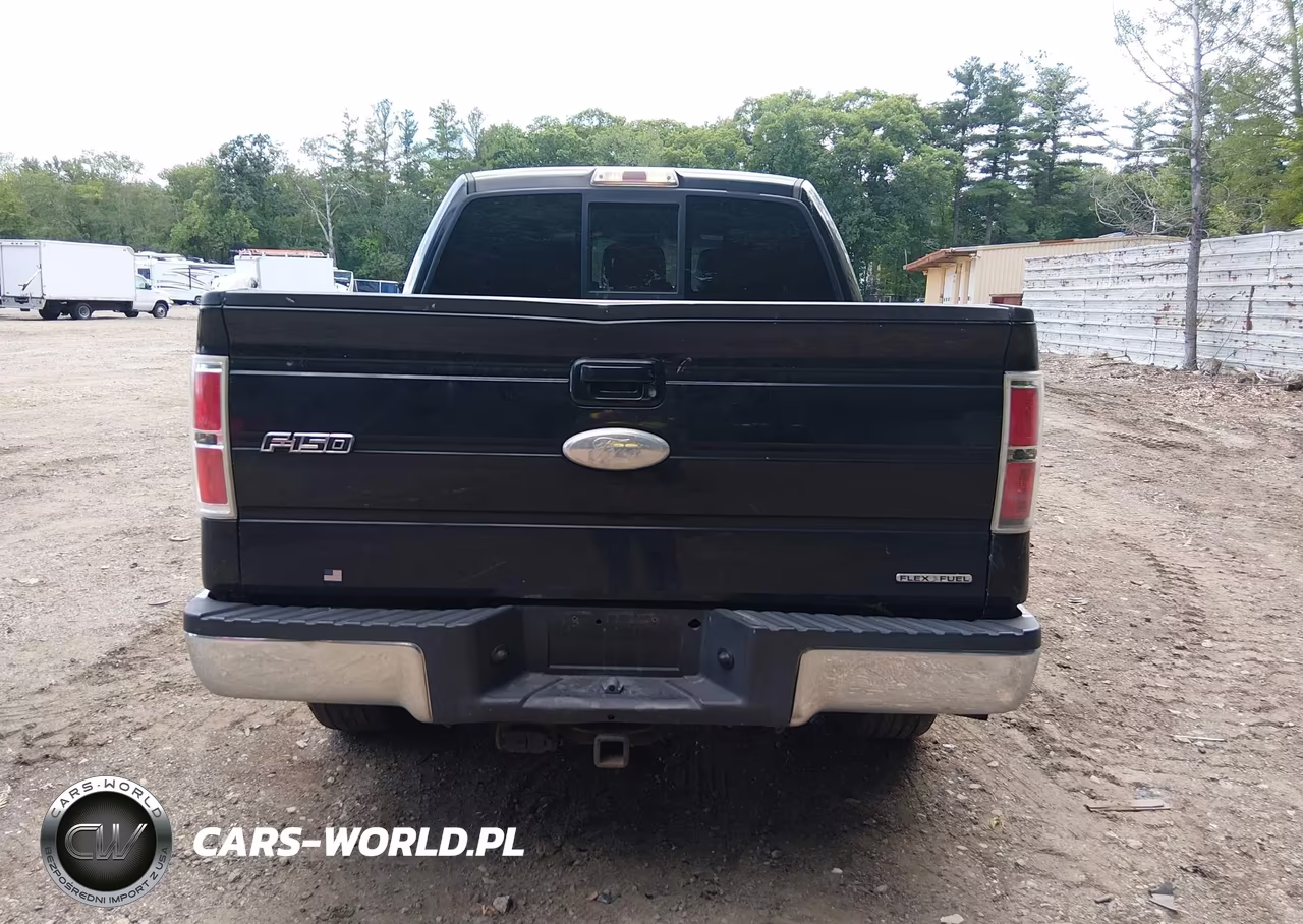 2011 Ford F-150 Fx4-King Ranch-Lariat-Platinum-Xl-Xlt VIN:1FTFW1EF6BFC74332 - 17