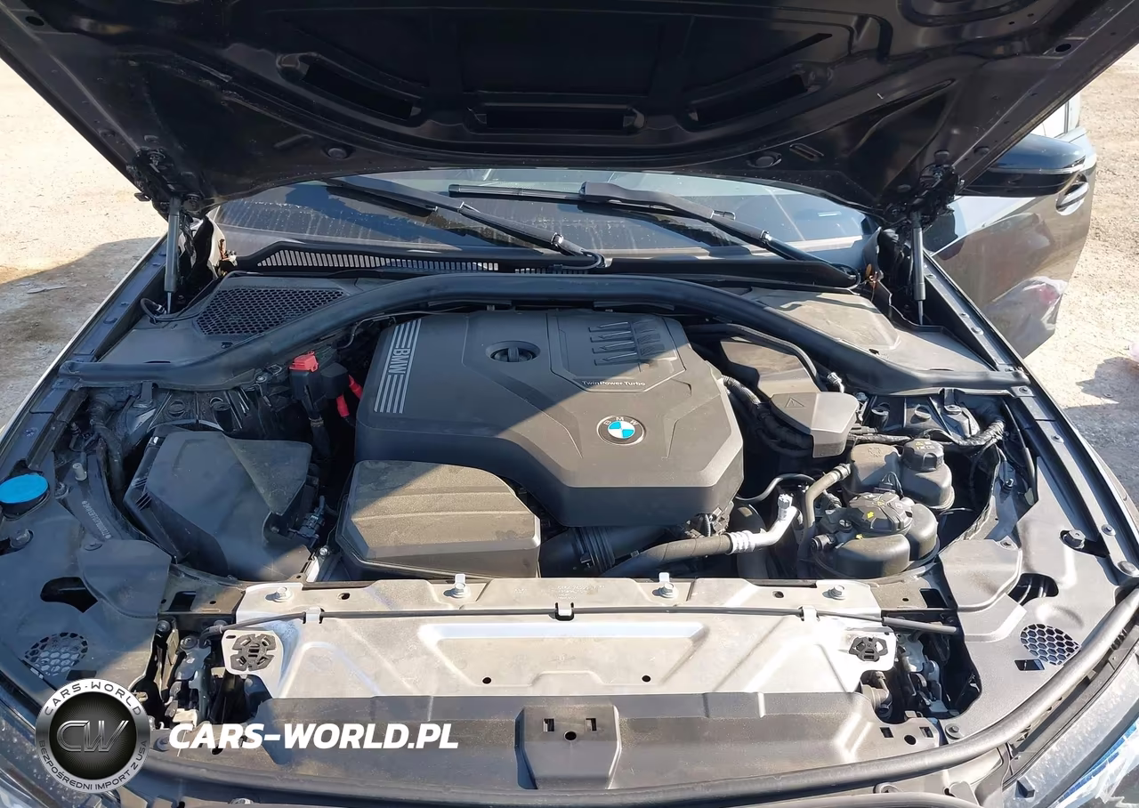 2023 BMW 330I VIN:3MW69FF07P8D00822 - 10