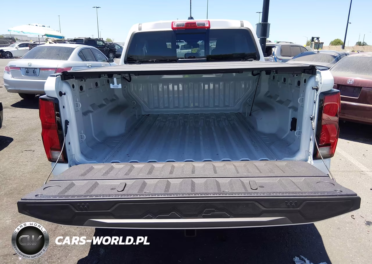 2025 Chevrolet Colorado 4Wd Z71 VIN:1GCPTDEK6S1199446 - 12