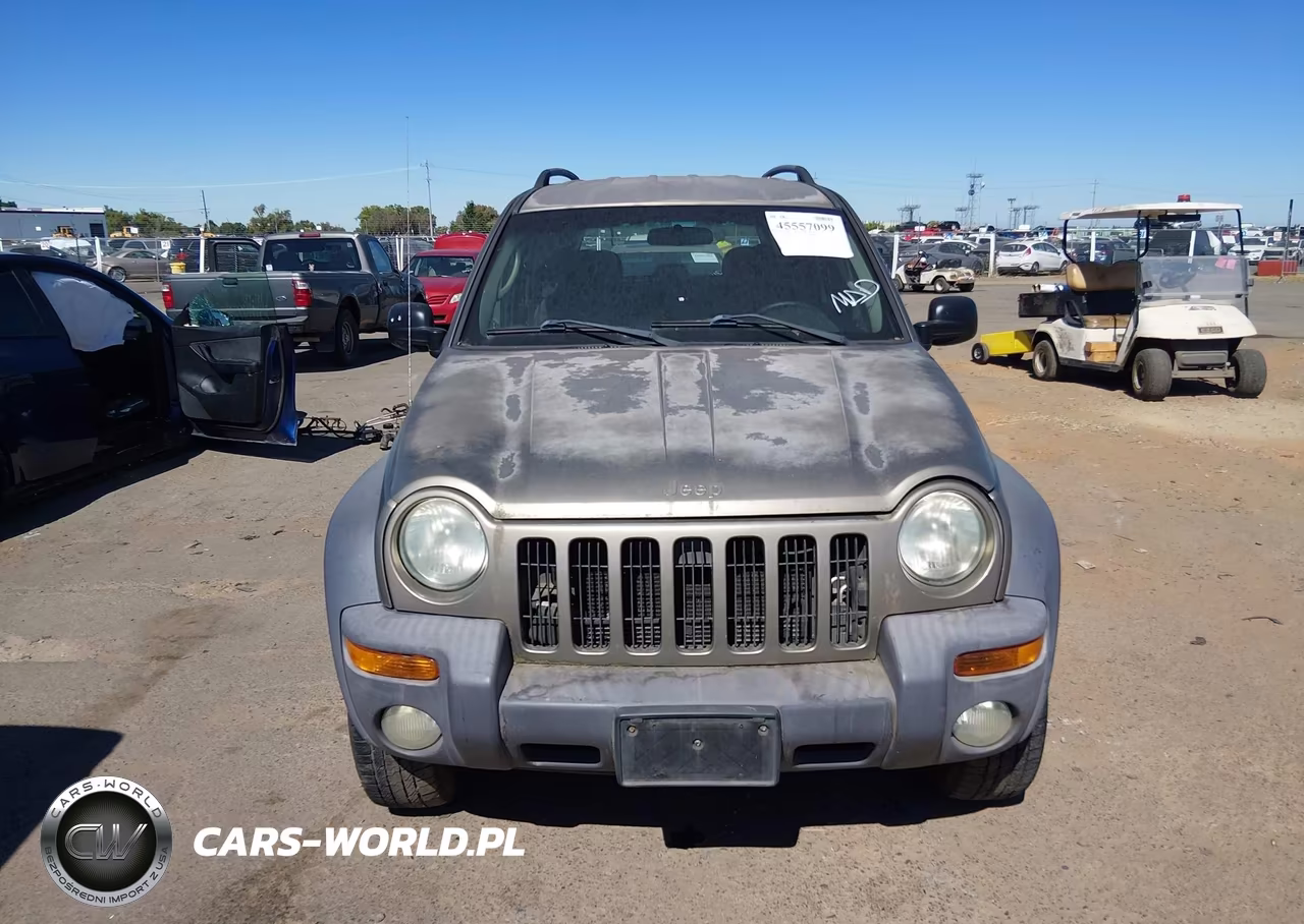 2004 Jeep Liberty Sport VIN:1J8GL48K14W119772 - 6