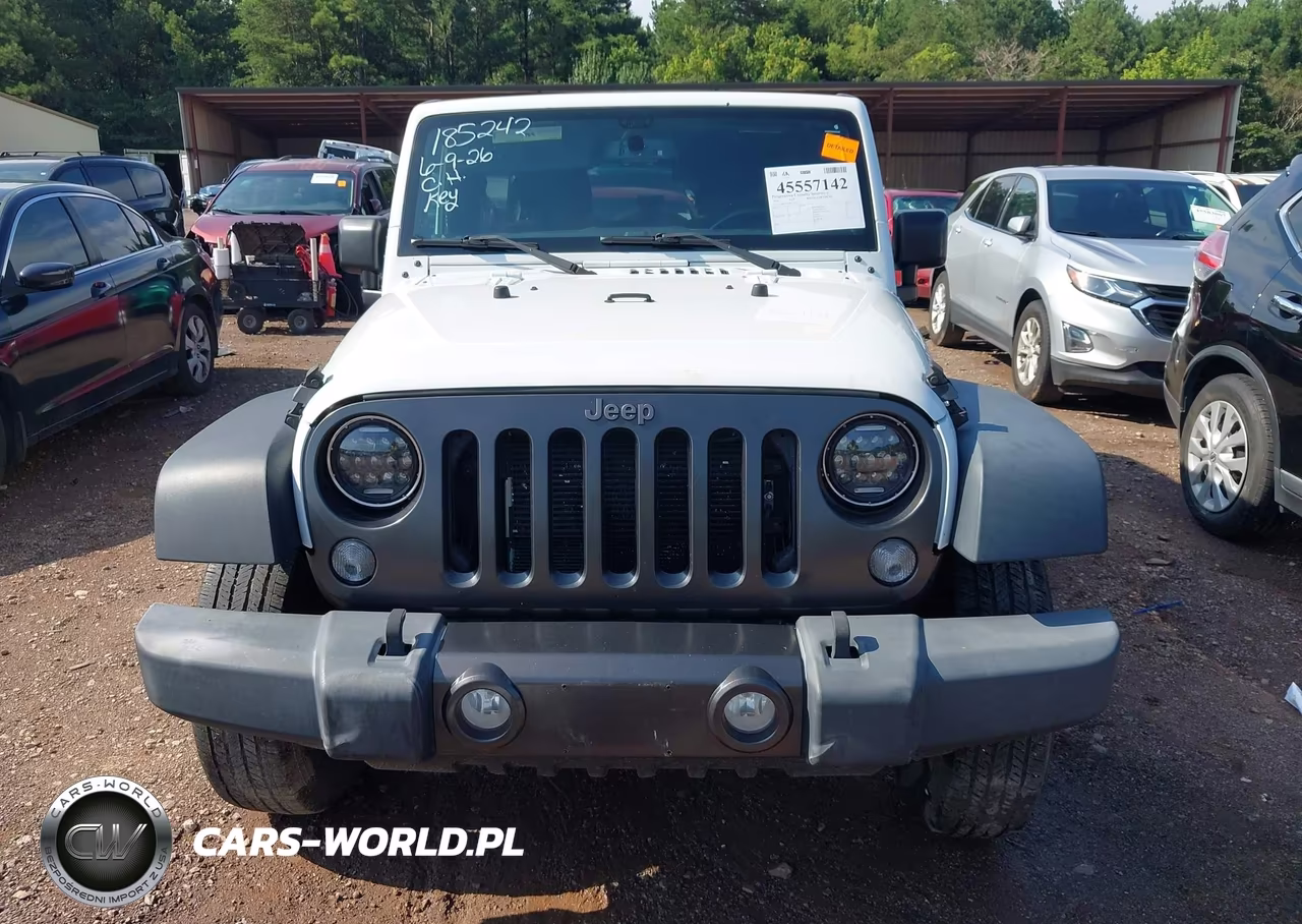 2016 Jeep Wrangler Unlimited Black Bear VIN:1C4BJWDG9GL143165 - 12