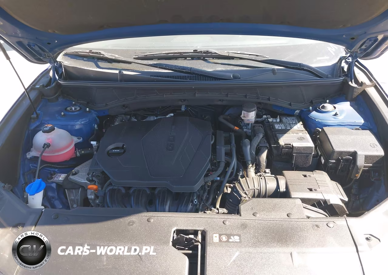 2024 Hyundai Tucson Sel VIN:5NMJBCDE4RH298846 - 10