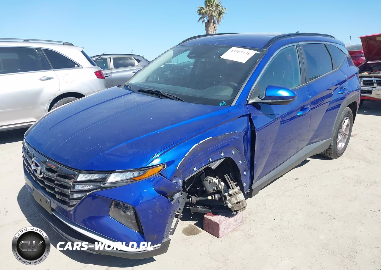 2024 Hyundai Tucson Sel VIN:5NMJBCDE4RH298846 - 2