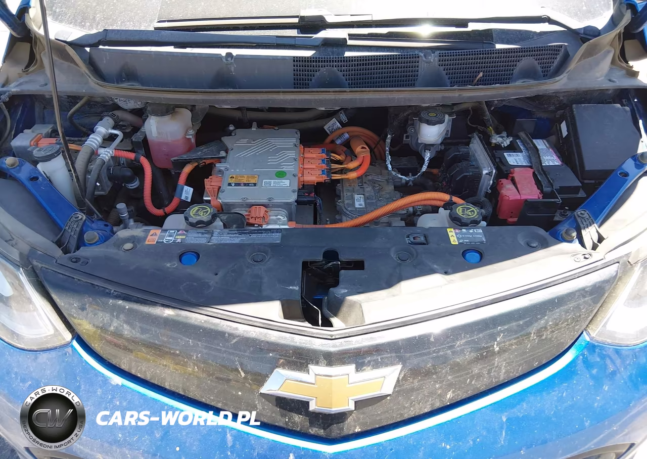 2019 Chevrolet Bolt Ev Lt VIN:1G1FY6S04K4105860 - 10