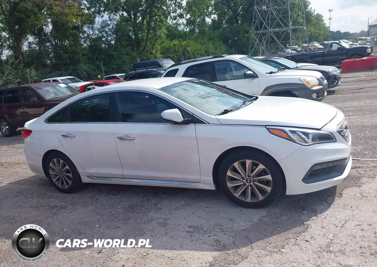 2015 Hyundai Sonata Sport VIN:5NPE34AF7FH230136 - 13