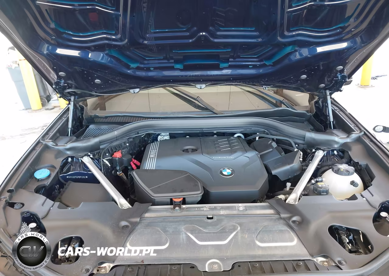 2023 BMW X4 xDrive30I VIN:5UX33DT03P9P13163 - 10