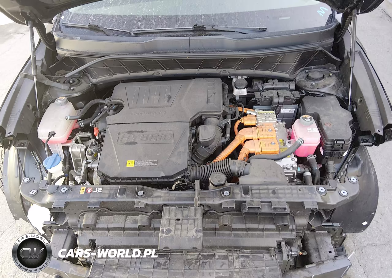 2024 Kia Niro Lx VIN:KNDCP3LE0R5171901 - 10