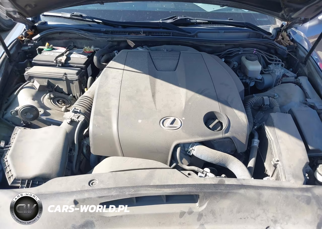 2014 Lexus Is 250 VIN:JTHBF1D25E5029382 - 10