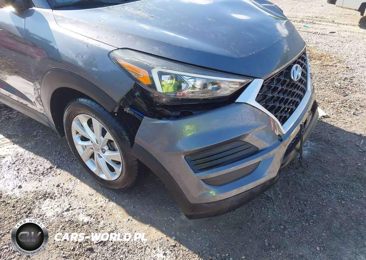2019 Hyundai Tucson Se VIN:KM8J2CA4XKU942209 - 17