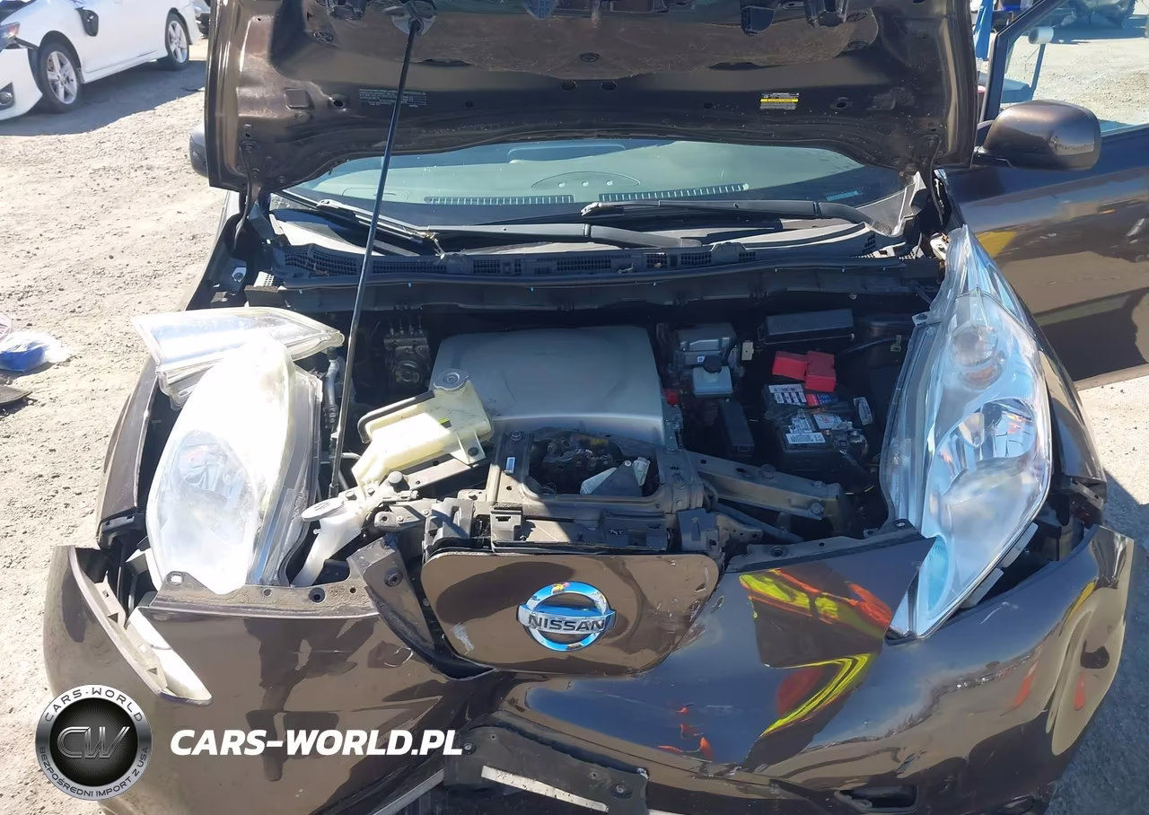 2016 Nissan Leaf S VIN:1N4AZ0CP8GC301679 - 10