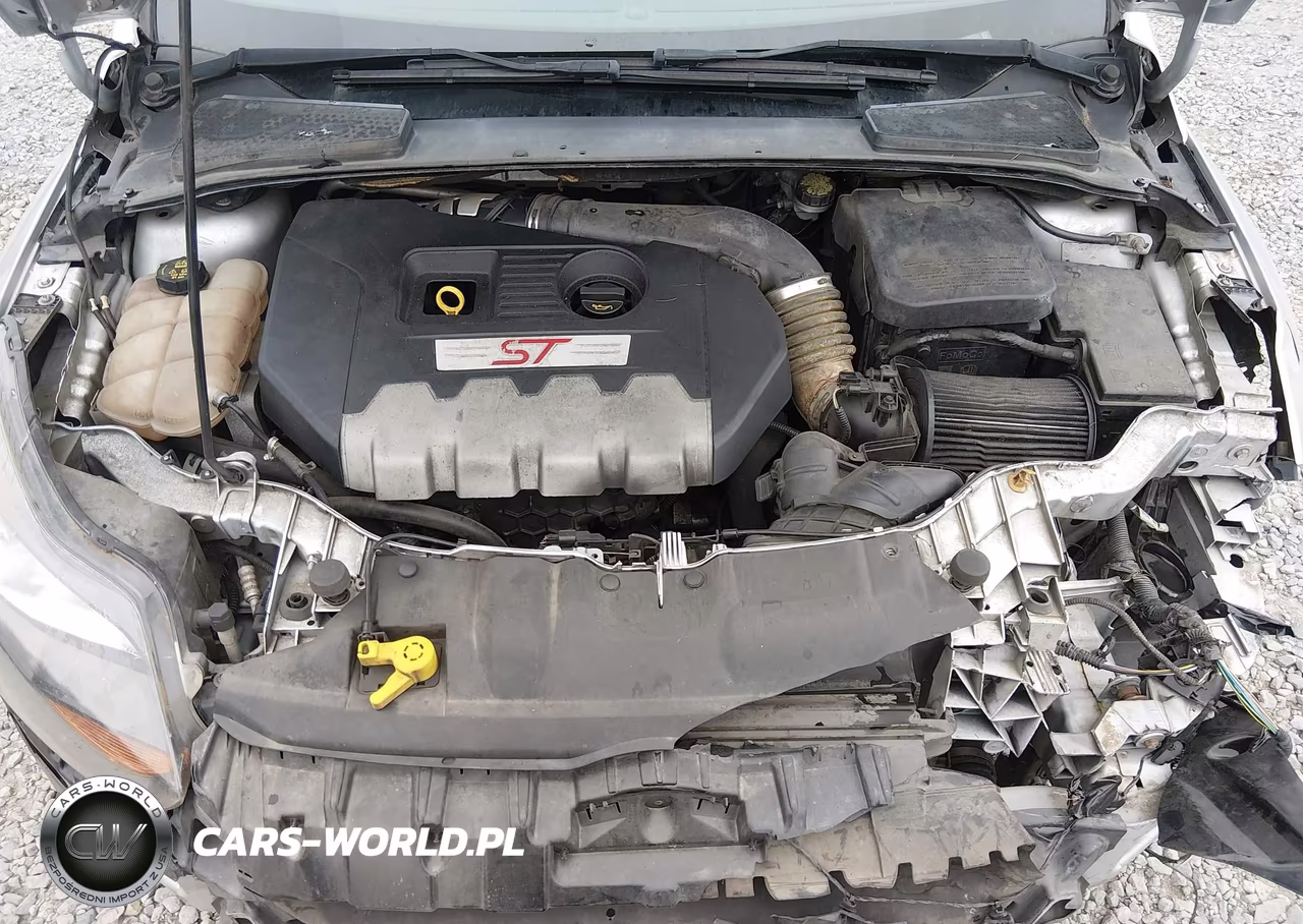2014 Ford Focus St VIN:1FADP3L97EL238271 - 10