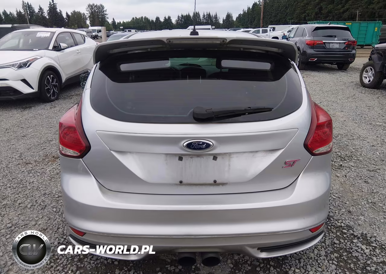 2014 Ford Focus St VIN:1FADP3L97EL238271 - 17