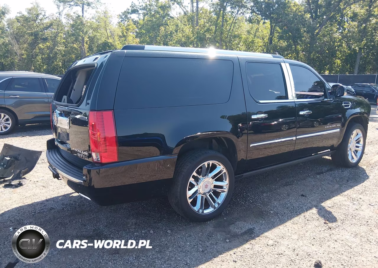2012 Cadillac Escalade Esv Platinum Edition VIN:1GYS3KEF8CR286229 - 4