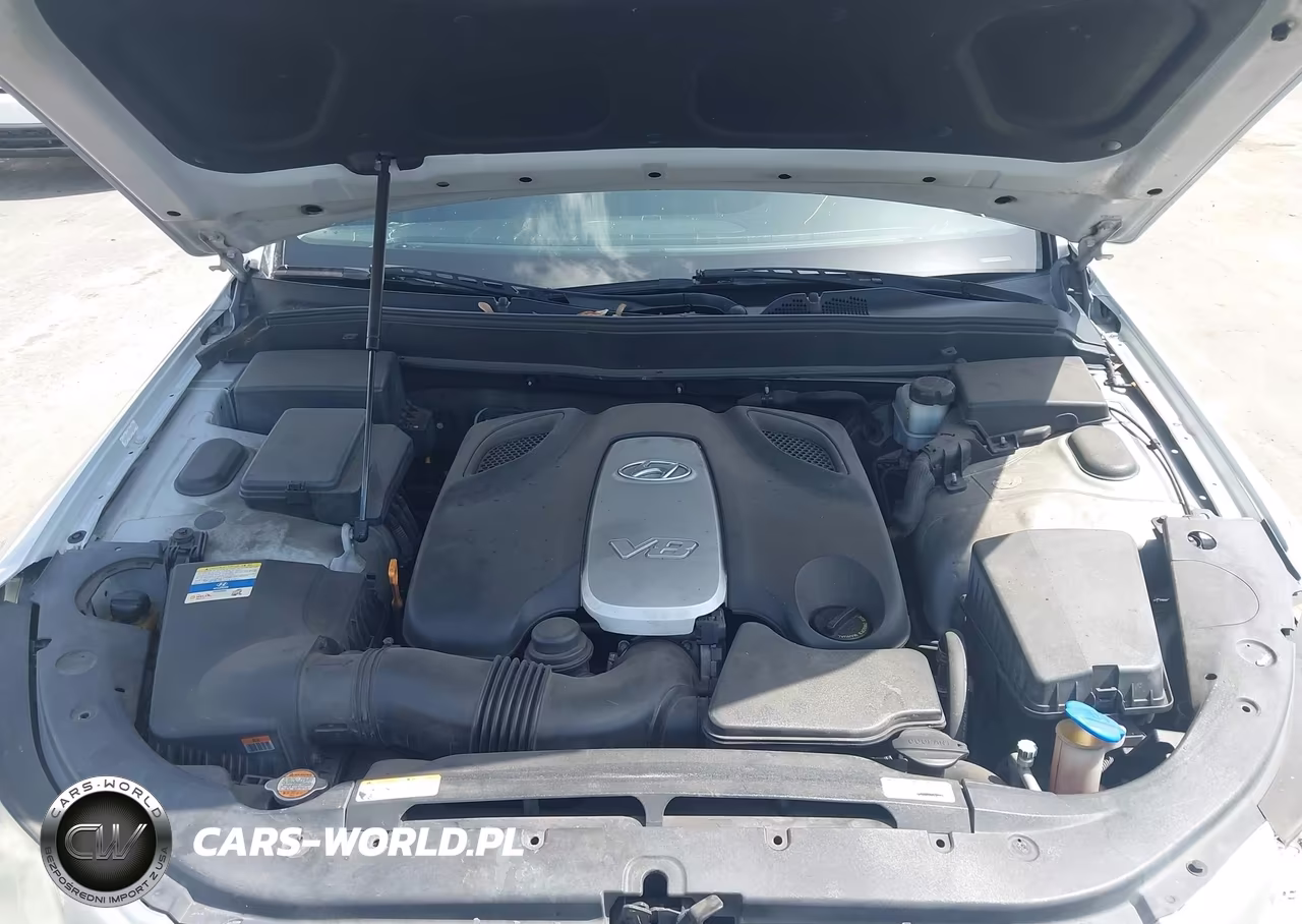 2011 Hyundai Genesis 4.6 VIN:KMHGC4DF9BU114825 - 10