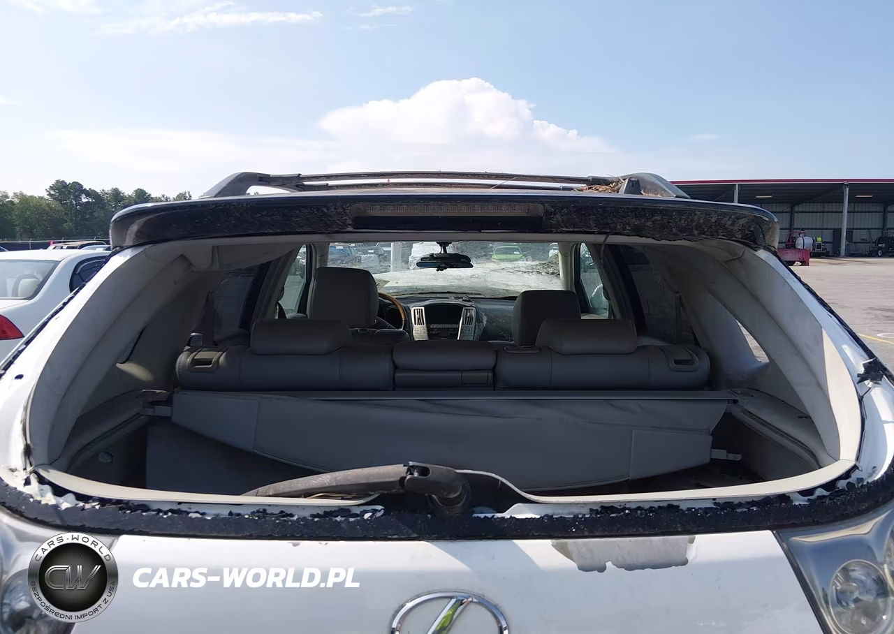 2004 Lexus Rx 330 VIN:2T2GA31U54C006818 - 13