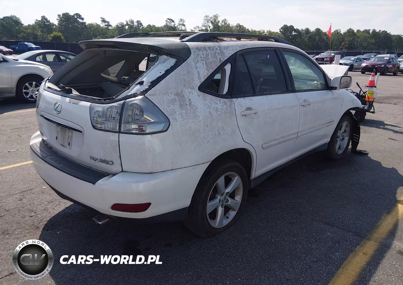 2004 Lexus Rx 330 VIN:2T2GA31U54C006818 - 4