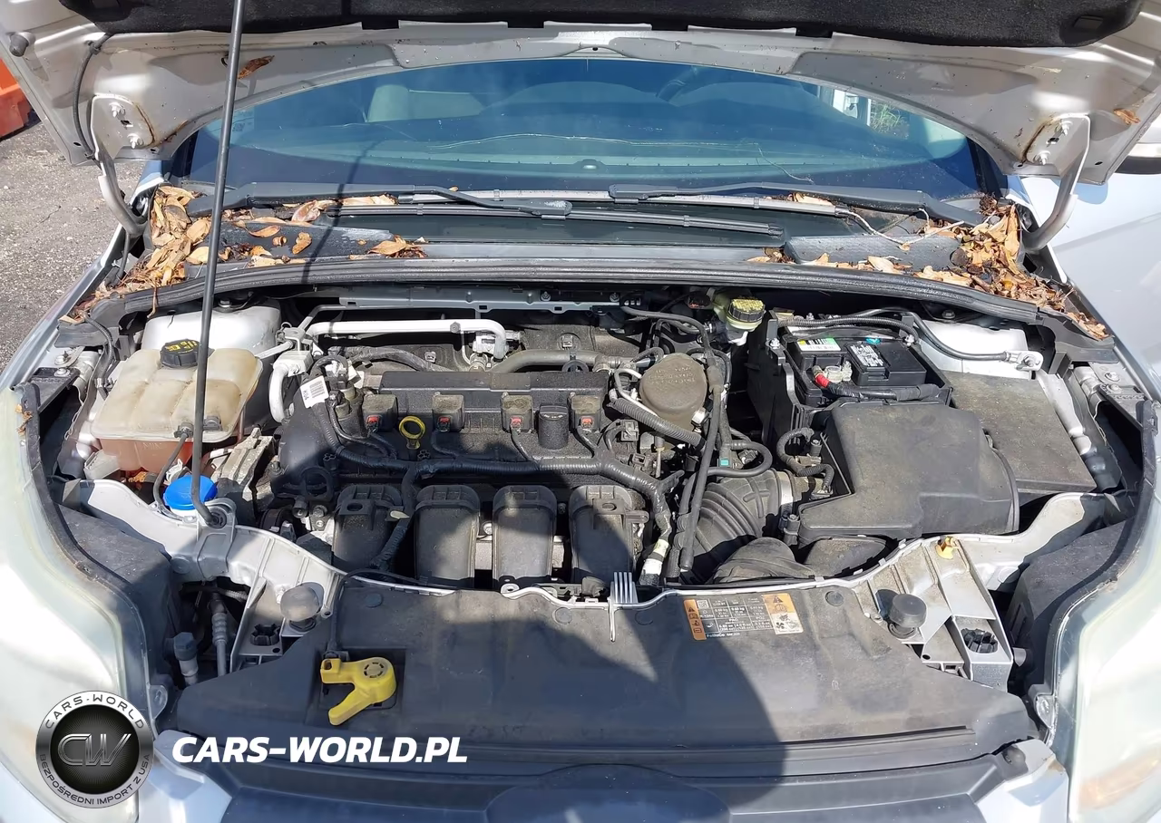 2014 Ford Focus Se VIN:1FADP3F23EL410293 - 10