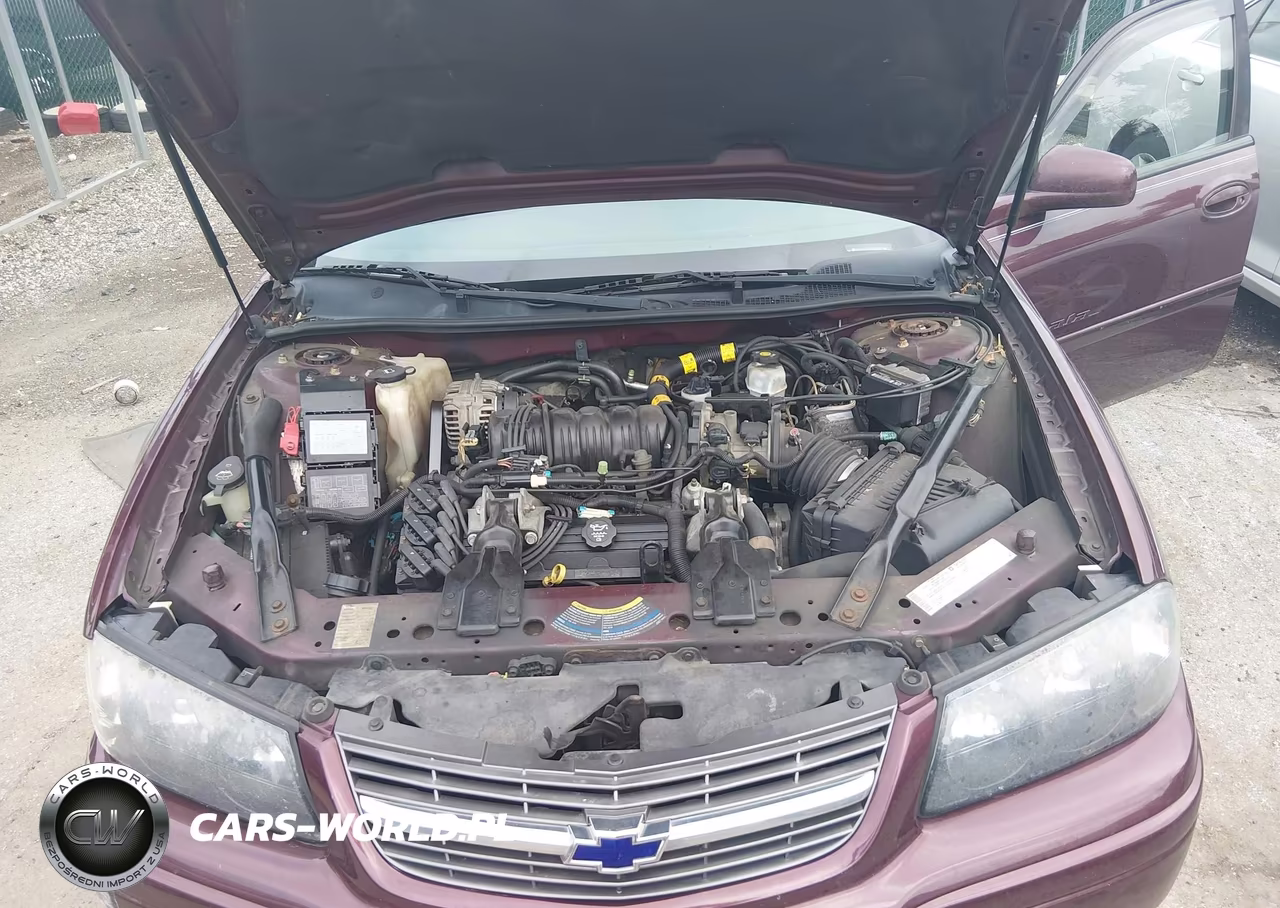 2004 Chevrolet Impala Ls VIN:2G1WH55K549254866 - 10