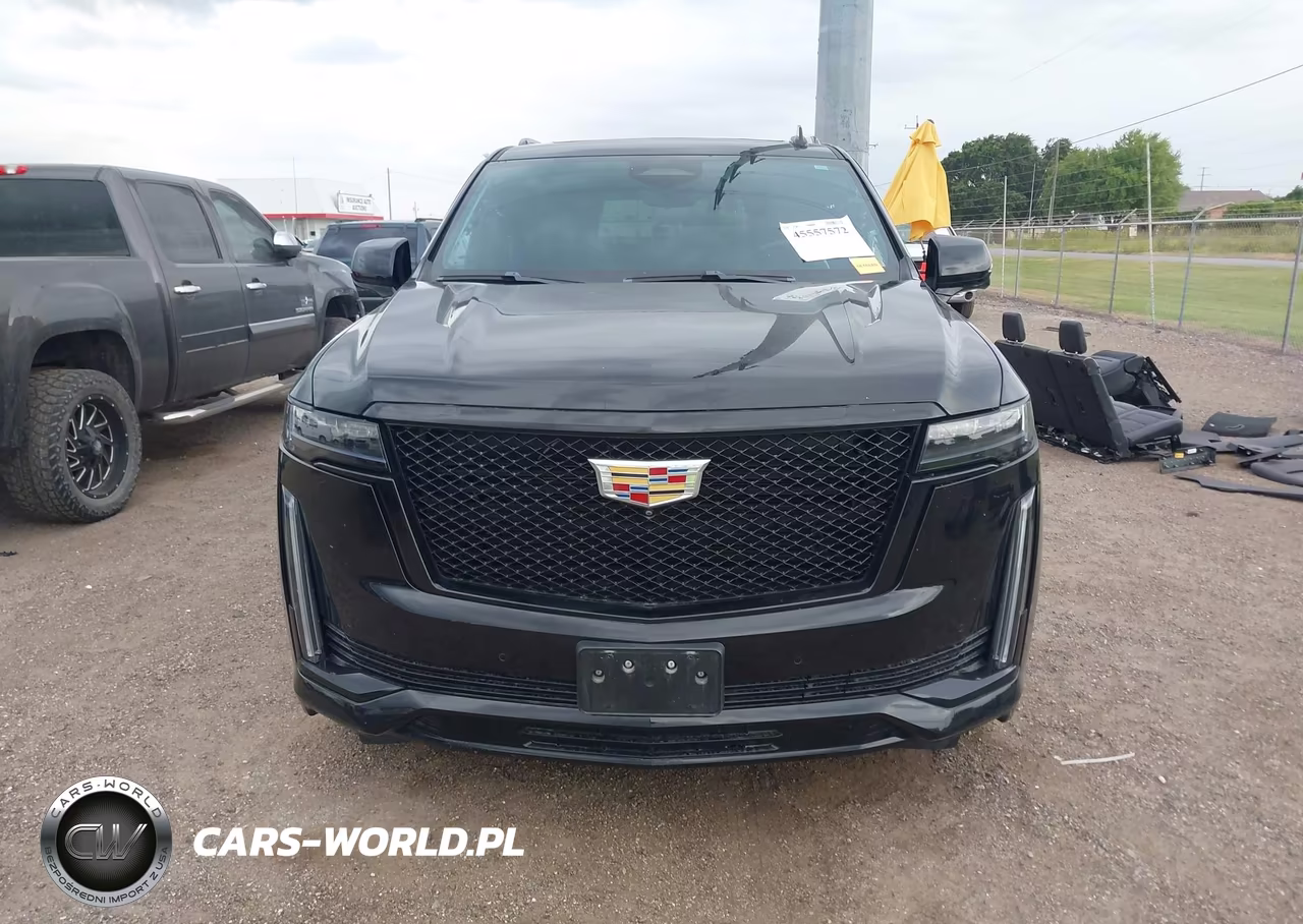 2022 Cadillac Escalade 4Wd Sport Platinum VIN:1GYS4GKL3NR189477 - 13