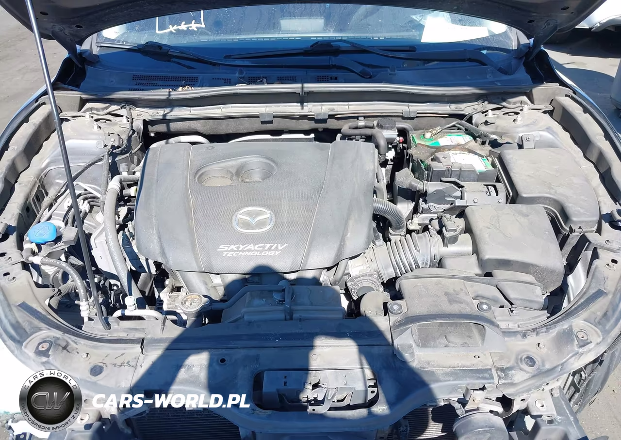 2014 Mazda Mazda3 I Sport VIN:JM1BM1K72E1172528 - 10