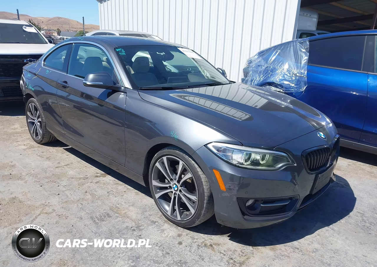 2017 BMW 230I