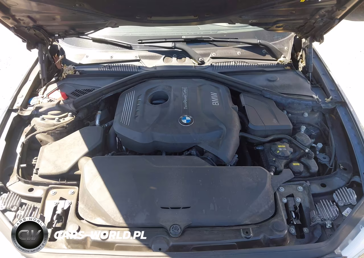 2017 BMW 230I VIN:WBA2F9C59HV664327 - 10