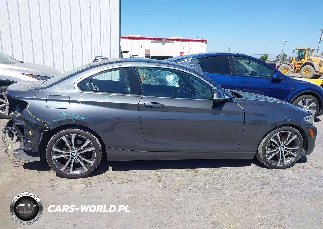 2017 BMW 230I VIN:WBA2F9C59HV664327 - 14