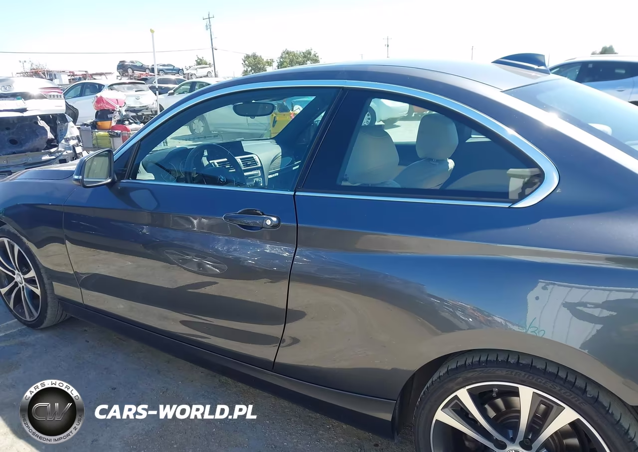 2017 BMW 230I VIN:WBA2F9C59HV664327 - 15