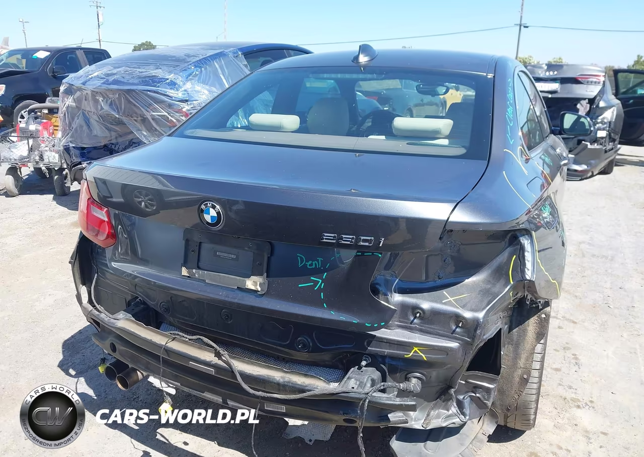 2017 BMW 230I VIN:WBA2F9C59HV664327 - 17