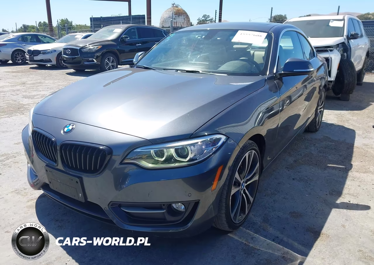 2017 BMW 230I VIN:WBA2F9C59HV664327 - 2
